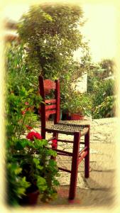 Guesthouse Gouris Zagori Greece
