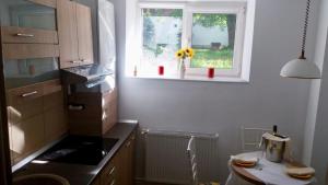 Diac Apartment Center Brasov