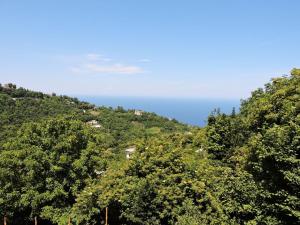 Chestnuts Pelion Greece