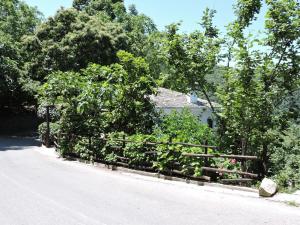 Chestnuts Pelion Greece