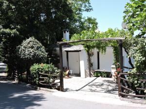 Chestnuts Pelion Greece