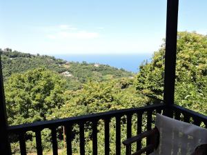 Chestnuts Pelion Greece