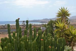 Casita Verde, Arrieta - Lanzarote