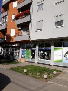 Sovica