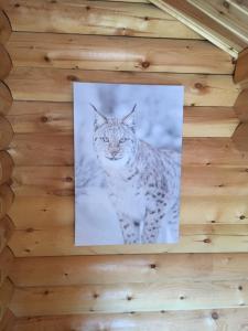 Chalets Le Syote : photos des chambres