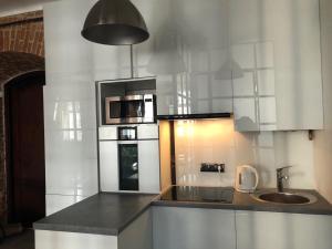 Loft Apartment Rynok sqr 19
