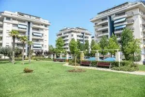 Attic Aries - 蒙特西尔瓦诺