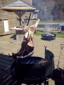 Cabañas rio chovellen