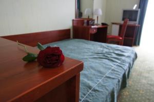 Hotel Aros