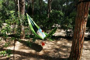 Camping Porto Sosàlinos img23