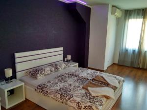 Velinoff Purple Studio
