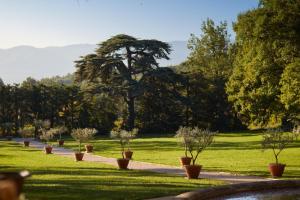 Hotels Domaine de Fontenille : photos des chambres