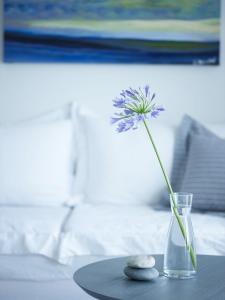 Adrina Resort & Spa Skopelos Greece