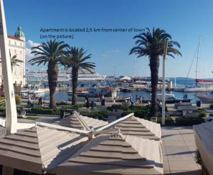 Apartment Butterfly Split - for rest and relaxation