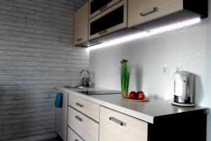 Apartament nad morzem Baltis