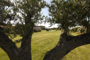 Due Lune Puntaldia Resort & Golf img33