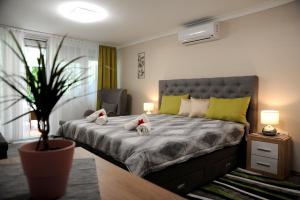 Apartament Judit Apartman Dombóvár-Gunaras Dombóvár Ungaria