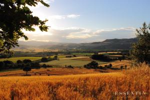 Pension Essentia dimora rurale Larino Itali&euml;