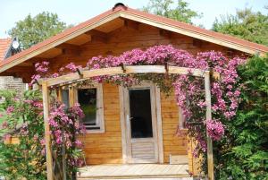 Maisons de vacances The Cabin with heated outdoor pool : photos des chambres