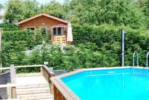 The Cabin with heated outdoor pool - 迪塞