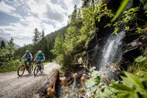 Alfonsstüberl - Ferienwohnungen & Restaurant