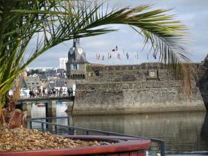 Appartements Splendide vue face a la mer : photos des chambres