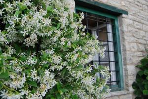 Tritoxo Guesthouse Zagori Greece