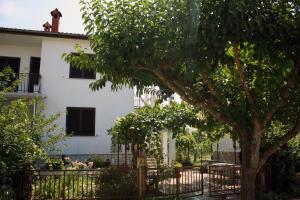 Apartment Vera 