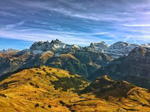 Appartement Studio Avoriaz