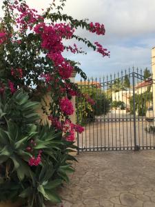 La casa del melograno