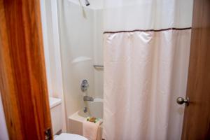 Small Double Room room in Spring Valley Inn