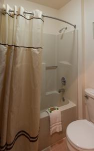 Large Double Room room in Spring Valley Inn
