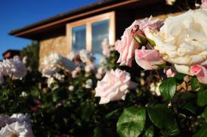 Cala Paradiso Residence img30