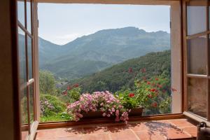 Maisons d'hotes Gaia, maison d'hotes Verdon, vue feerique : photos des chambres