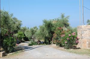 Amoni Holiday Homes Messinia Greece