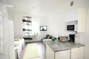 City Centre Apartment Puistokatu 29 - 于韦斯屈莱