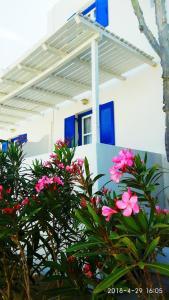 Nicos Studios & Apartments Paros Greece