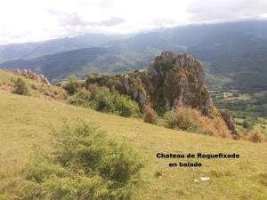 74 Rue Pasteur photo 24