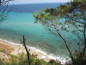 Petra Halkidiki Greece