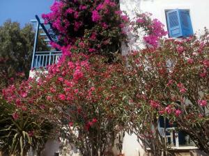 Villa Anastazia I Naxos Greece