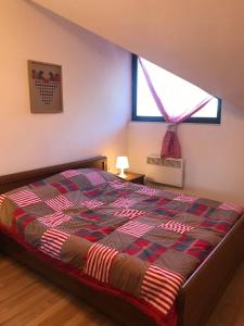 Papa Moose Pamporovo