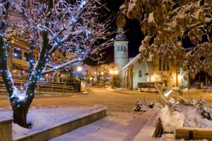 Chalets chalet artheis : photos des chambres