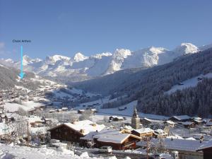 Chalets chalet artheis : photos des chambres
