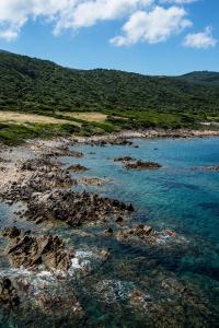 Hotels Sofitel Golfe d'Ajaccio Thalassa Sea & Spa : photos des chambres