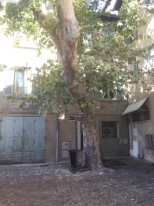 Appartements Studio Plaisance : photos des chambres