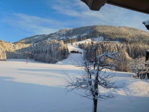 Ferienhaus Obwallhof