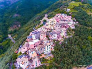 Cinqueterre - Terrace and beautiful view