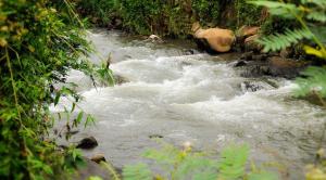 Villa Kota Bunga Ade Type Jepang - 0620