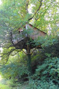 Campings Les Ecolodges de l'Orbiere : photos des chambres