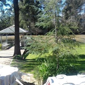 Las Casuarinas del Rio Capitan